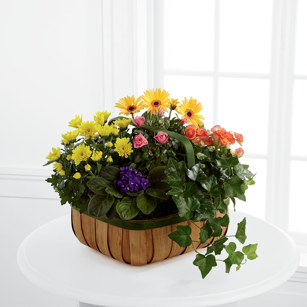 Gentle Blossoms Basket – Jerome Florist, Bronx NY