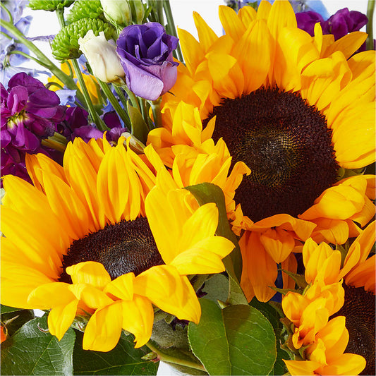 Catching Rays Bouquet – Jerome Florist, Bronx NY