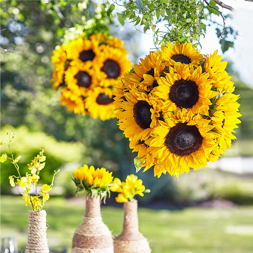 Sublime Garden Hanging Arrangement – Jerome Florist, Bronx NY