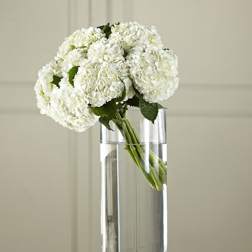 White Hydrangea Hand-Tied Bouquet – Jerome Florist, Bronx NY