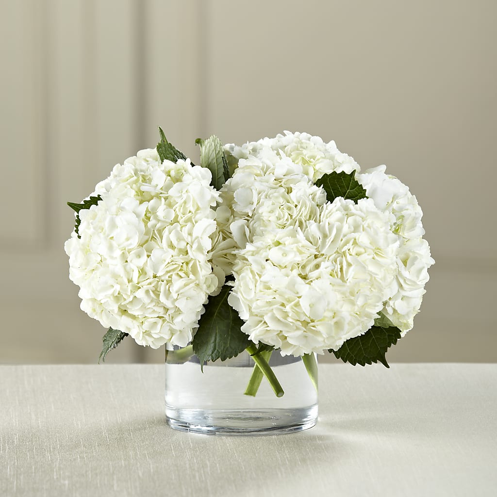 White Hydrangea Bouquet – Jerome Florist, Bronx NY