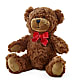 Adorable Plush Bear –  Jerome Florist, Bronx NY