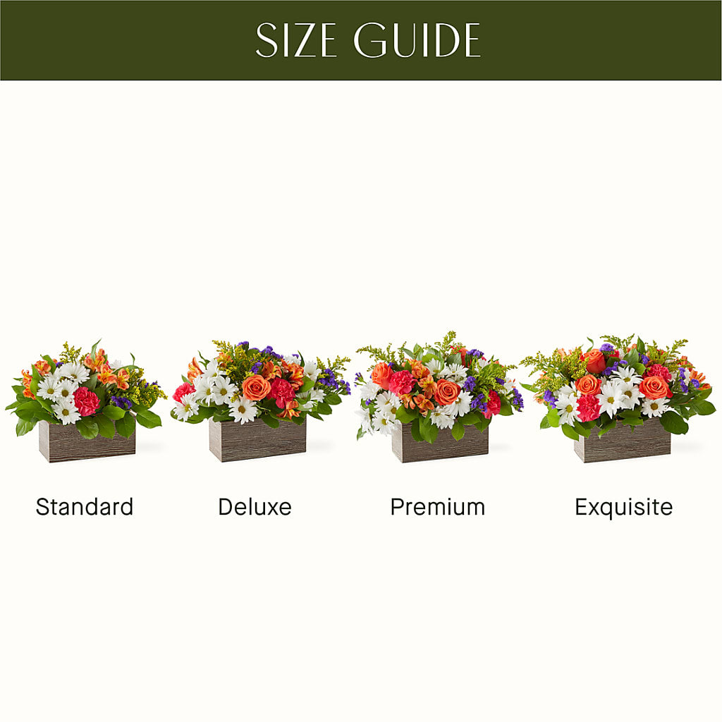 Oopsie Daisy Box Bouquet –  Jerome Florist, Bronx NY