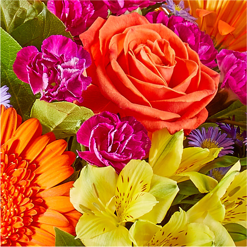 Tricks & Treats Pumpkin –  Jerome Florist, Bronx NY