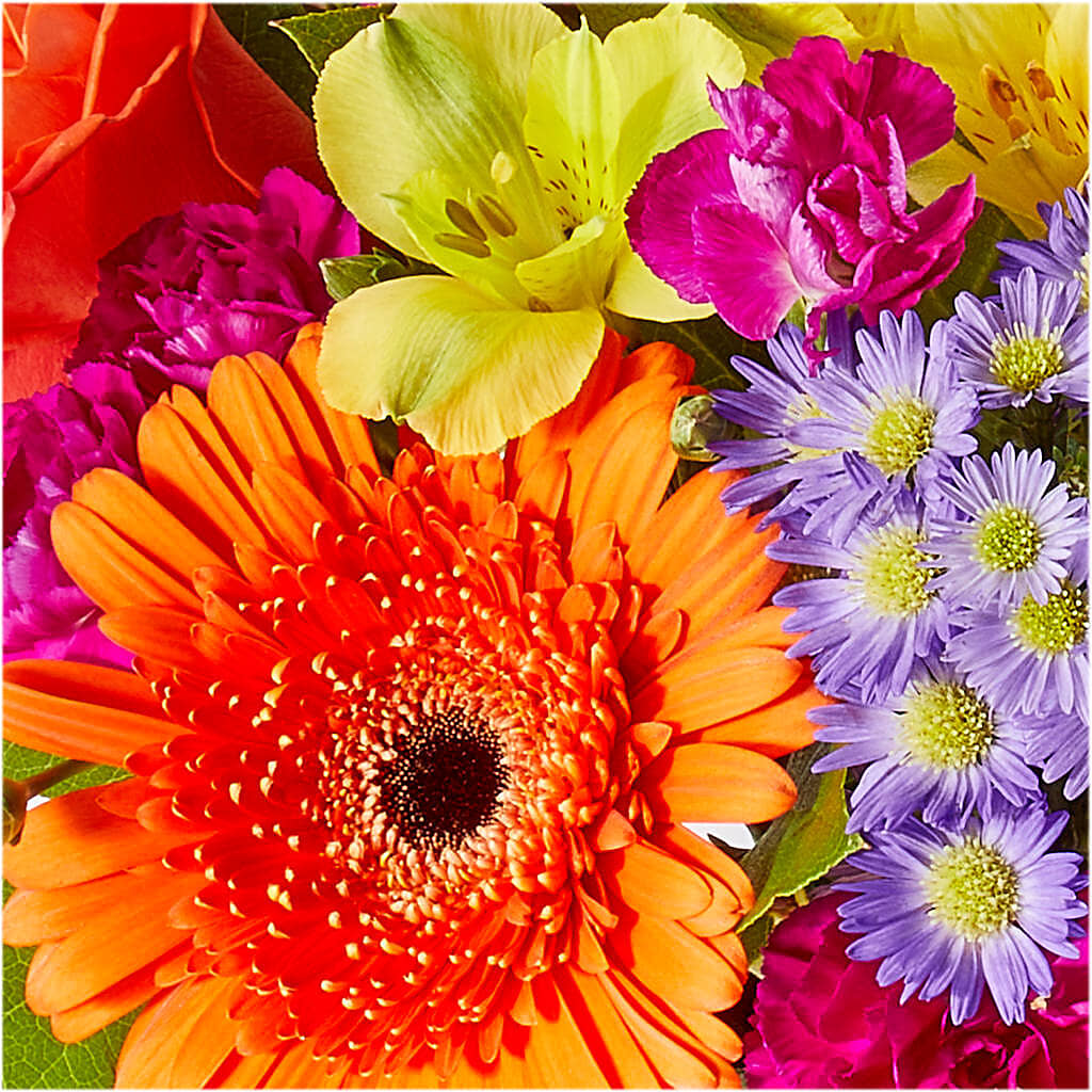 Tricks & Treats Pumpkin –  Jerome Florist, Bronx NY