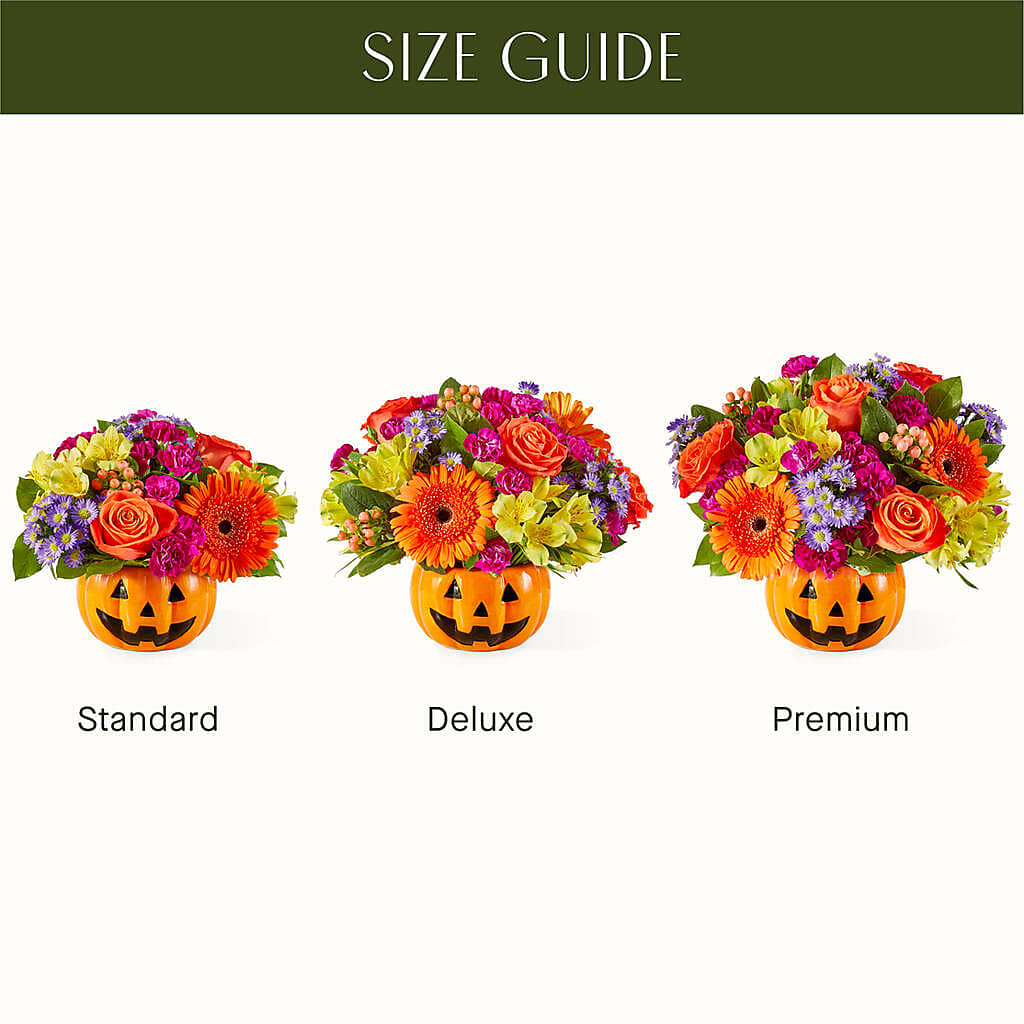 Tricks & Treats Pumpkin –  Jerome Florist, Bronx NY