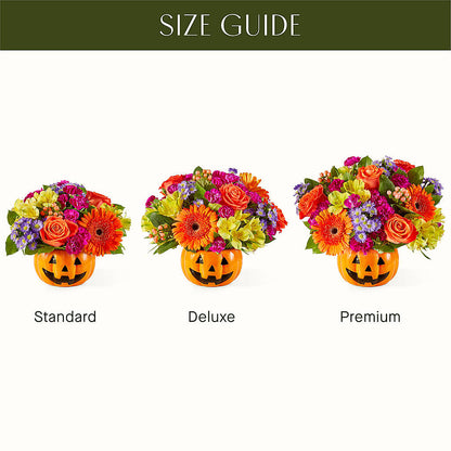 Tricks & Treats Pumpkin –  Jerome Florist, Bronx NY