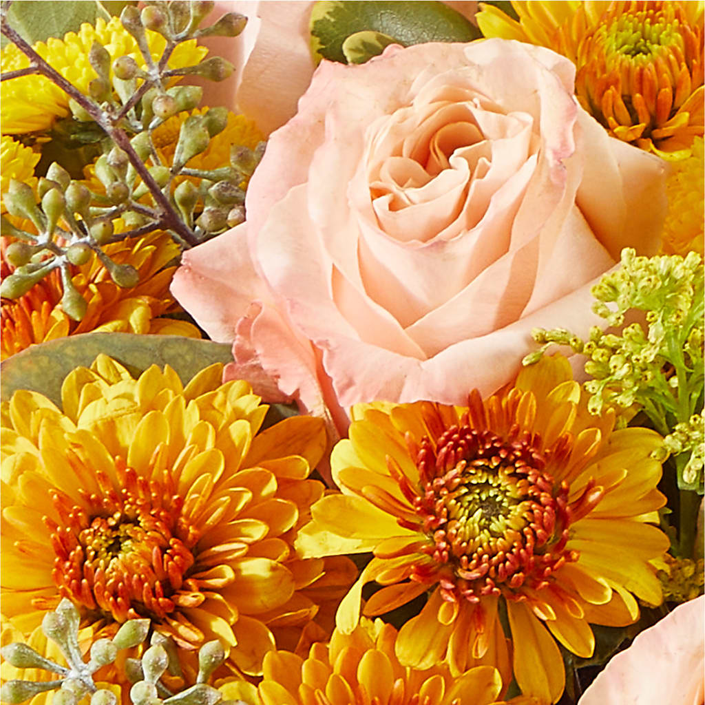 Peachy Pumpkin –  Jerome Florist, Bronx NY