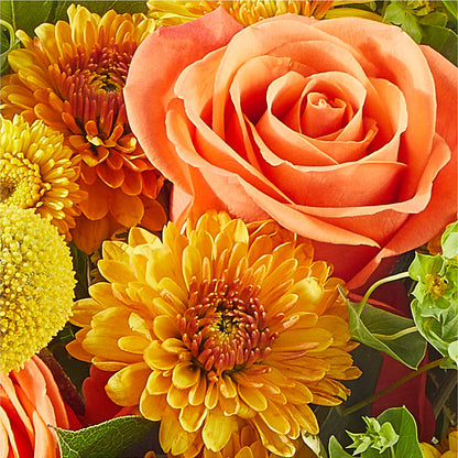Gourdgeous Pumpkin –  Jerome Florist, Bronx NY