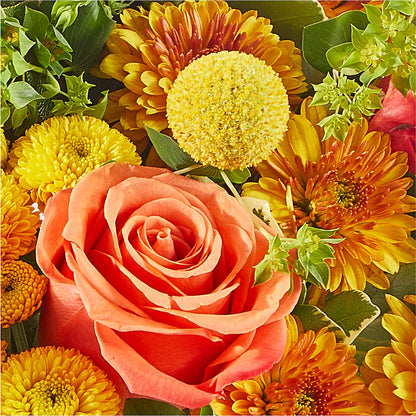 Gourdgeous Pumpkin –  Jerome Florist, Bronx NY