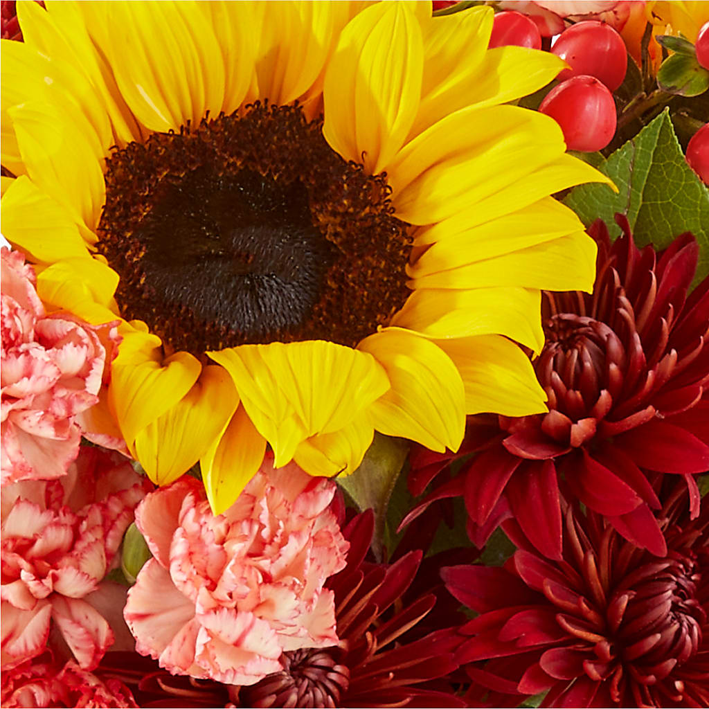 Fresh Cider Bouquet –  Jerome Florist, Bronx NY