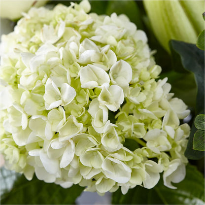 Classic Ivory – A Florist Original –  Jerome Florist, Bronx NY