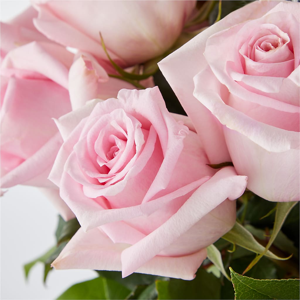 Picture Perfect Pink Rose Bouquet –  Jerome Florist, Bronx NY
