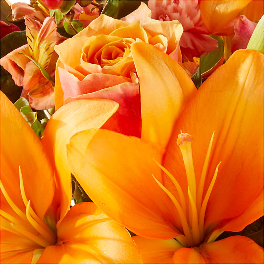 Afternoon Light Bouquet –  Jerome Florist, Bronx NY