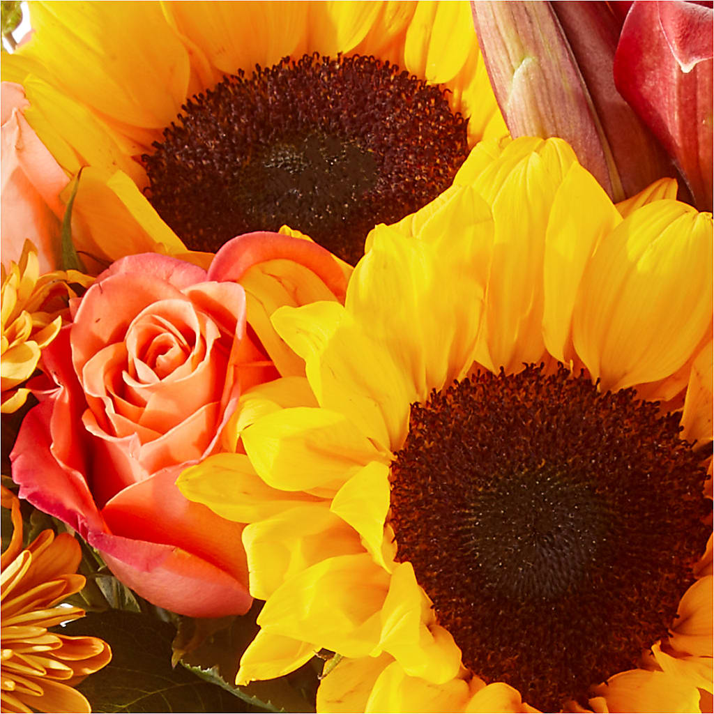 Acorn Lane Bouquet –  Jerome Florist, Bronx NY
