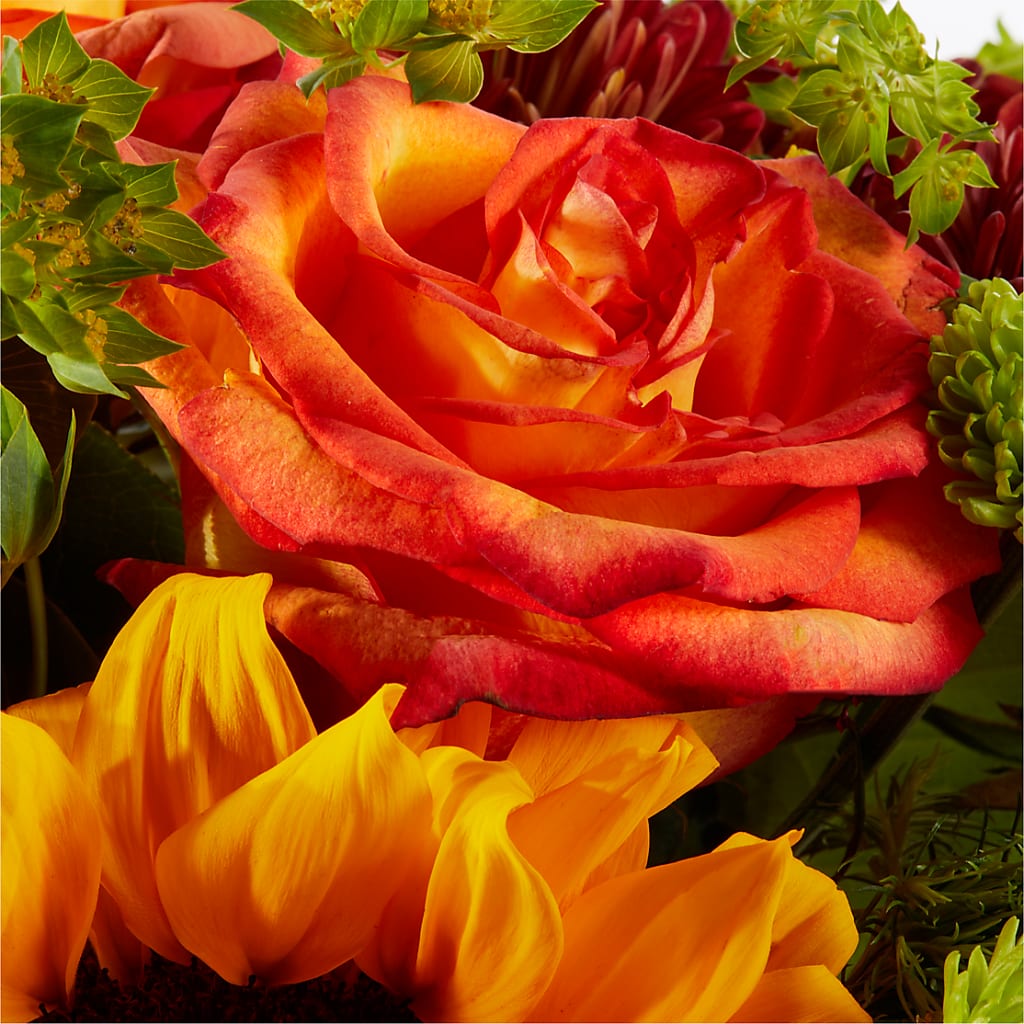Harvest Festival Bouquet –  Jerome Florist, Bronx NY