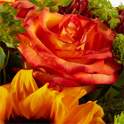Harvest Festival Bouquet –  Jerome Florist, Bronx NY