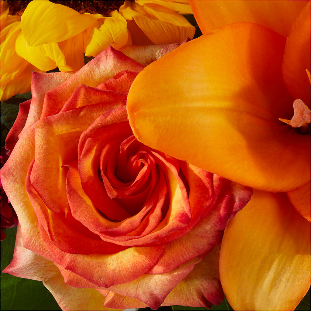 Grateful Centerpiece –  Jerome Florist, Bronx NY