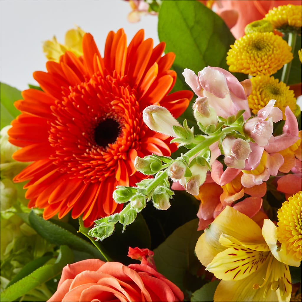Autumn Sunshine Bouquet –  Jerome Florist, Bronx NY