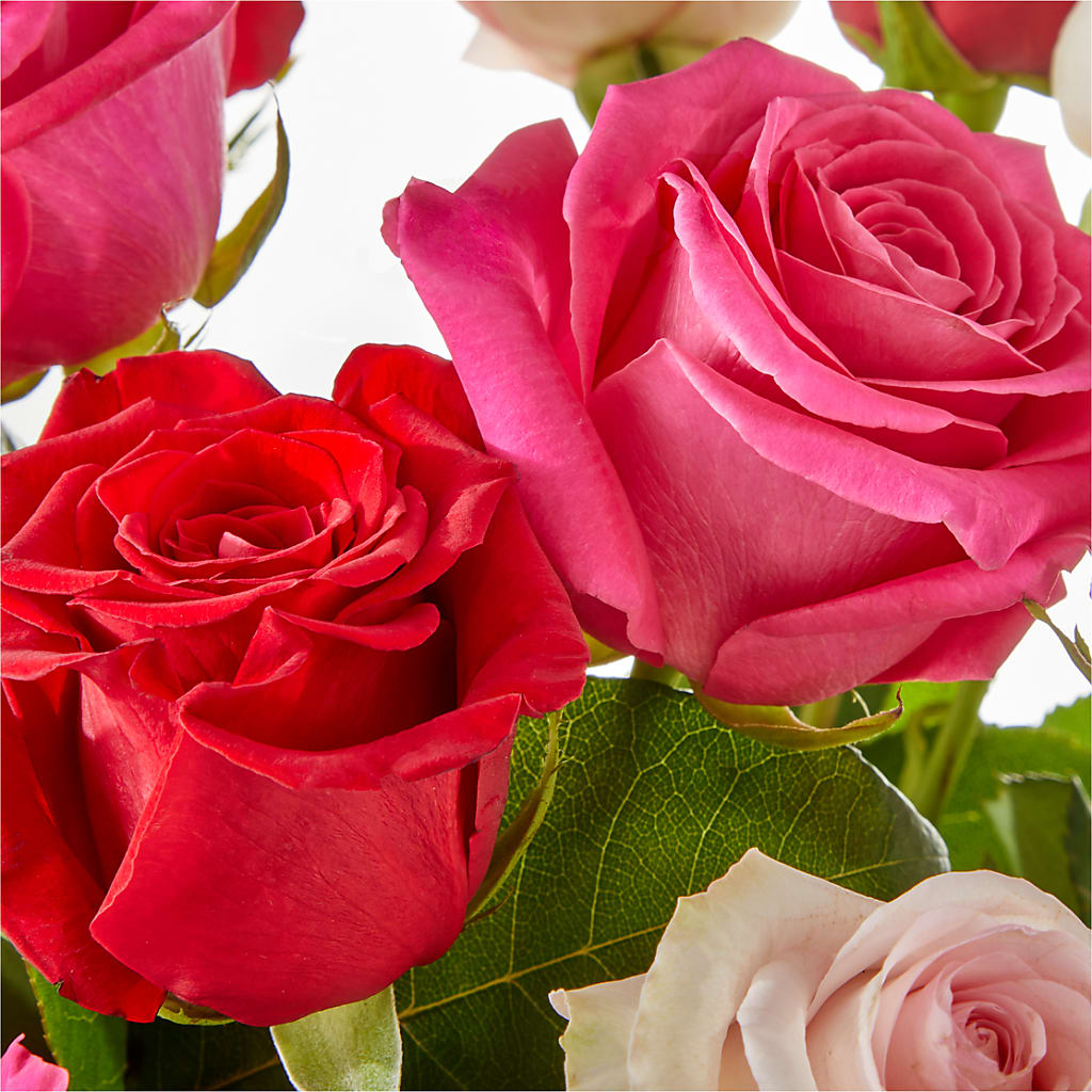 Charming Rose Bouquet –  Jerome Florist, Bronx NY