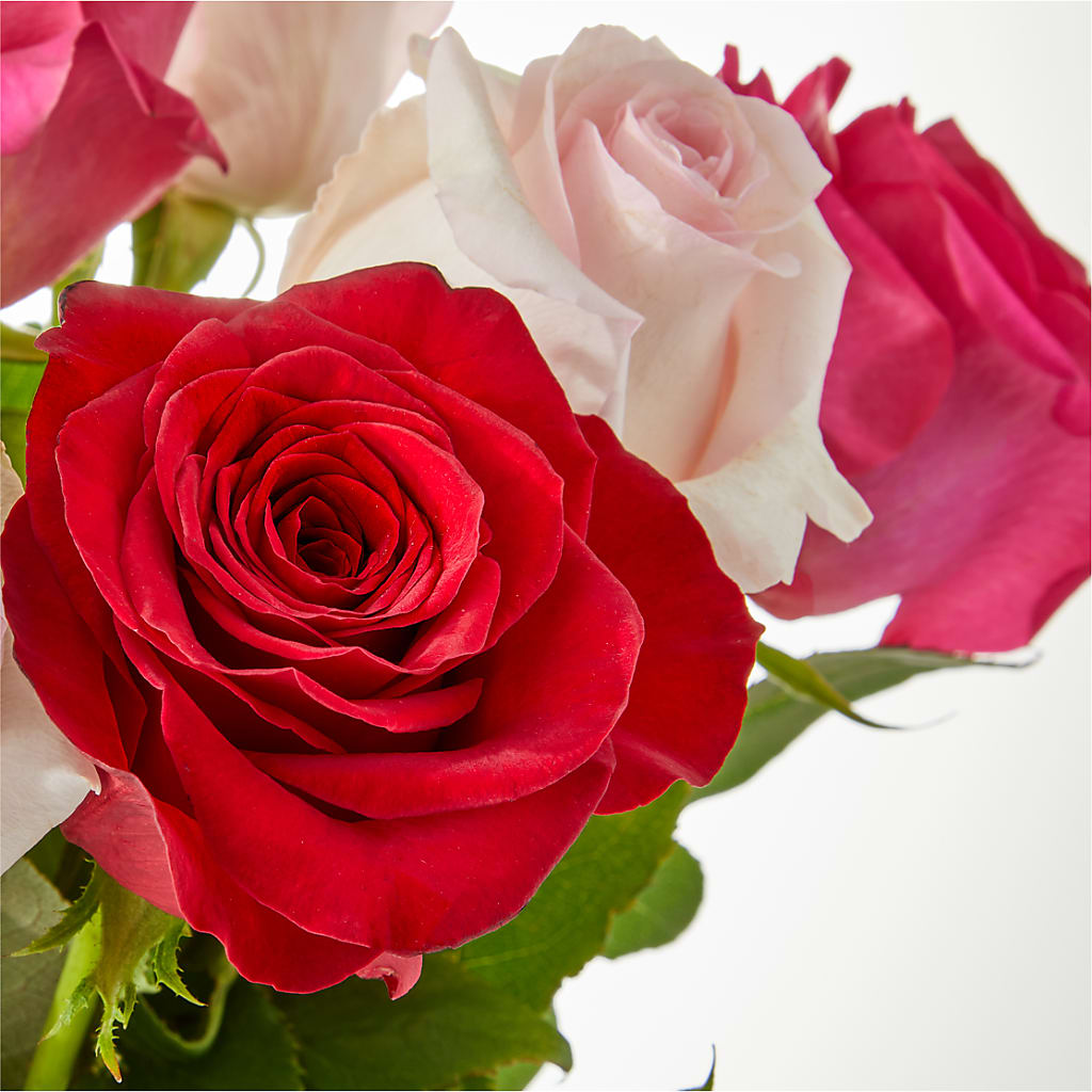 Charming Rose Bouquet –  Jerome Florist, Bronx NY