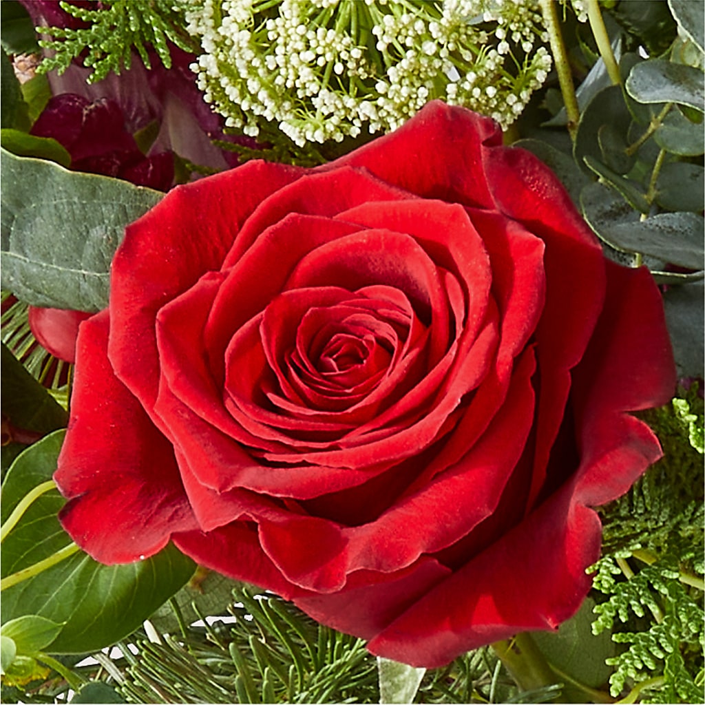 Cranberry Fizz Bouquet –  Jerome Florist, Bronx NY