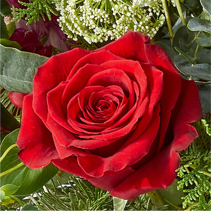 Cranberry Fizz Bouquet –  Jerome Florist, Bronx NY