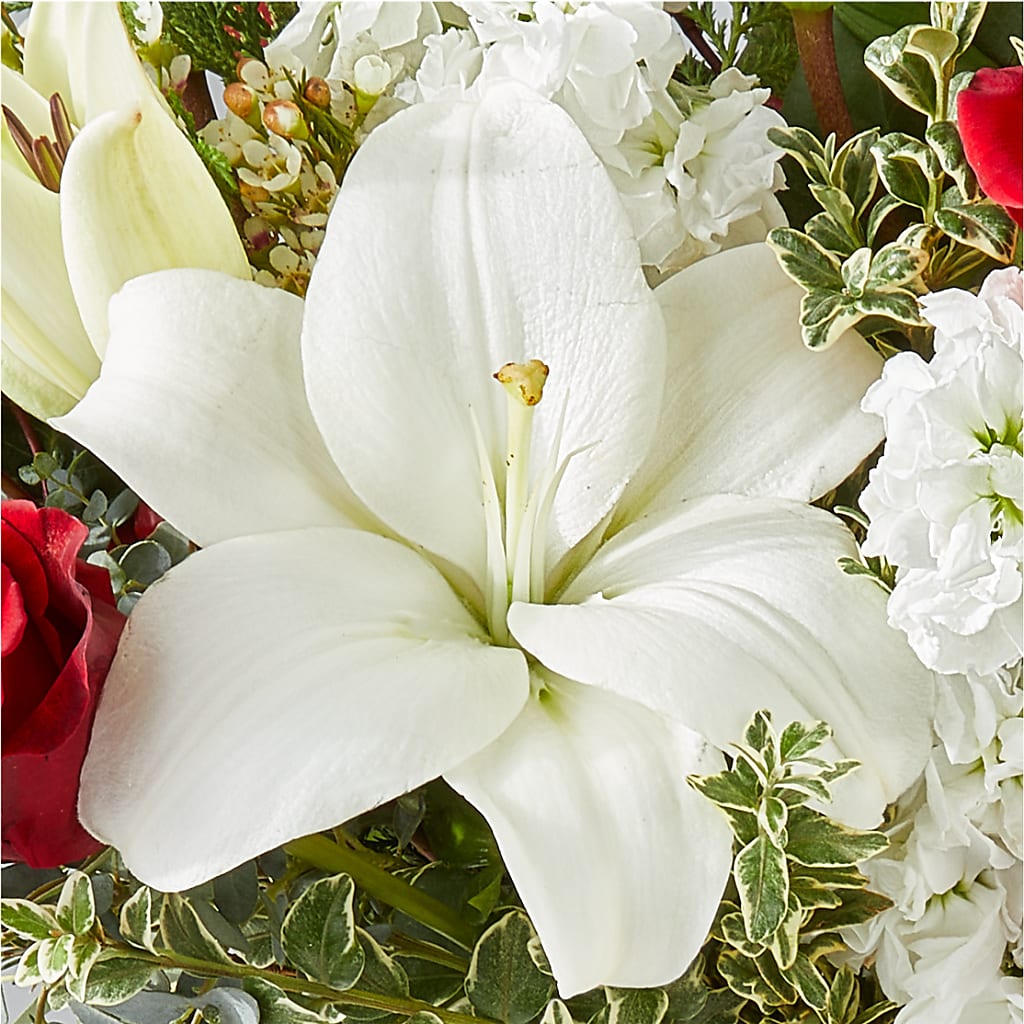 Twinkle Lights Bouquet –  Jerome Florist, Bronx NY