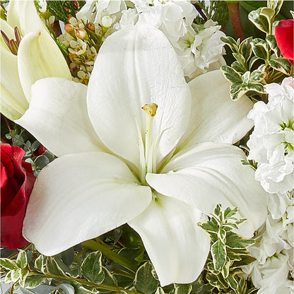 Twinkle Lights Bouquet –  Jerome Florist, Bronx NY