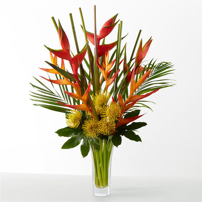 The Drama –  Jerome Florist, Bronx NY