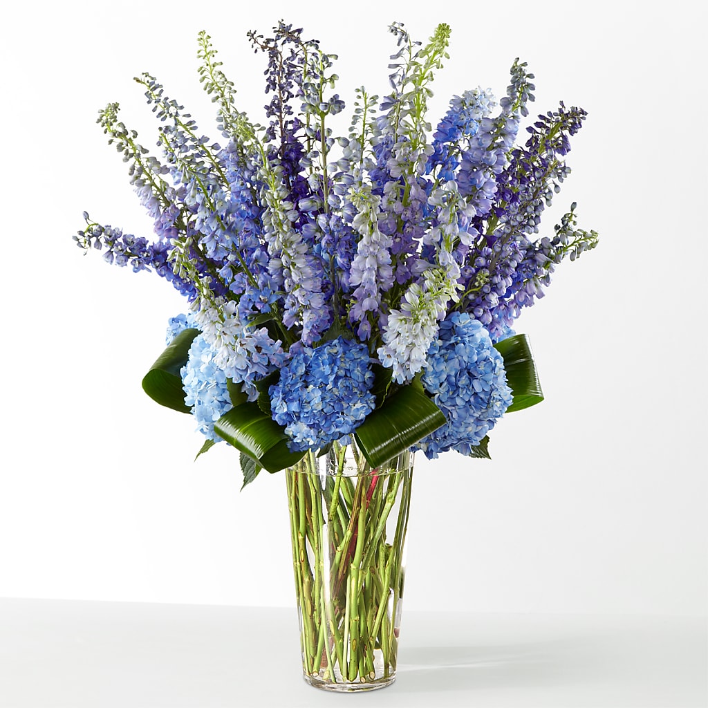 The Editorial –  Jerome Florist, Bronx NY