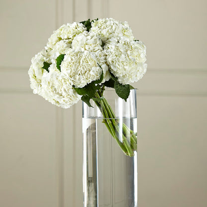 White Hydrangea Hand-Tied Bouquet –  Jerome Florist, Bronx NY