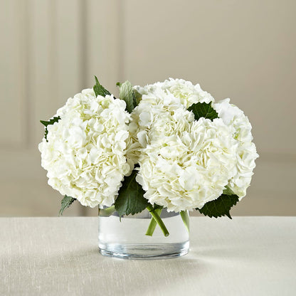 White Hydrangea Bouquet –  Jerome Florist, Bronx NY