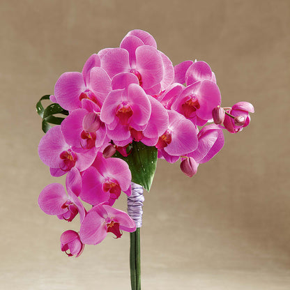 Glorious Bouquet –  Jerome Florist, Bronx NY